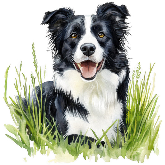 Watercolor Border Collie Fabric Panel 12