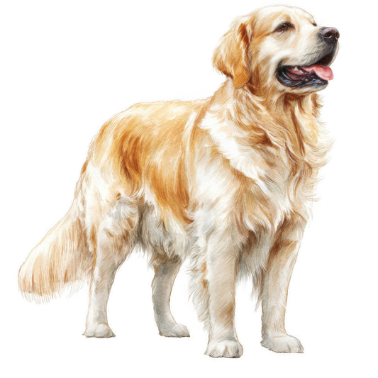 Golden Retriever Fabric Panel 5