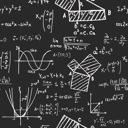 black, white, chalkboard, mathematical formulas, equations, geometric shapes, graphs, sine waves, trigonometry, algebra, calculus, educational, academic, school theme, stem, quilting cotton, fabric panel, classroom inspired, scholarly, scientific notation