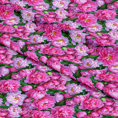 Realistic Flowers Pattern 44 Quilting Cotton Fabric