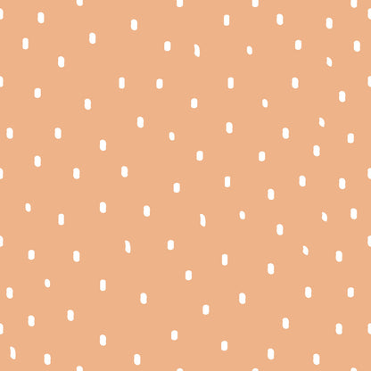 Cute Animal Train Fat Quarter Bundle