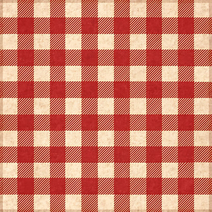 Buffalo Plaid Christmas Fat Quarter Bundle