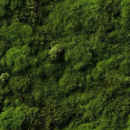 Moss Textures Fat Quarter Bundle