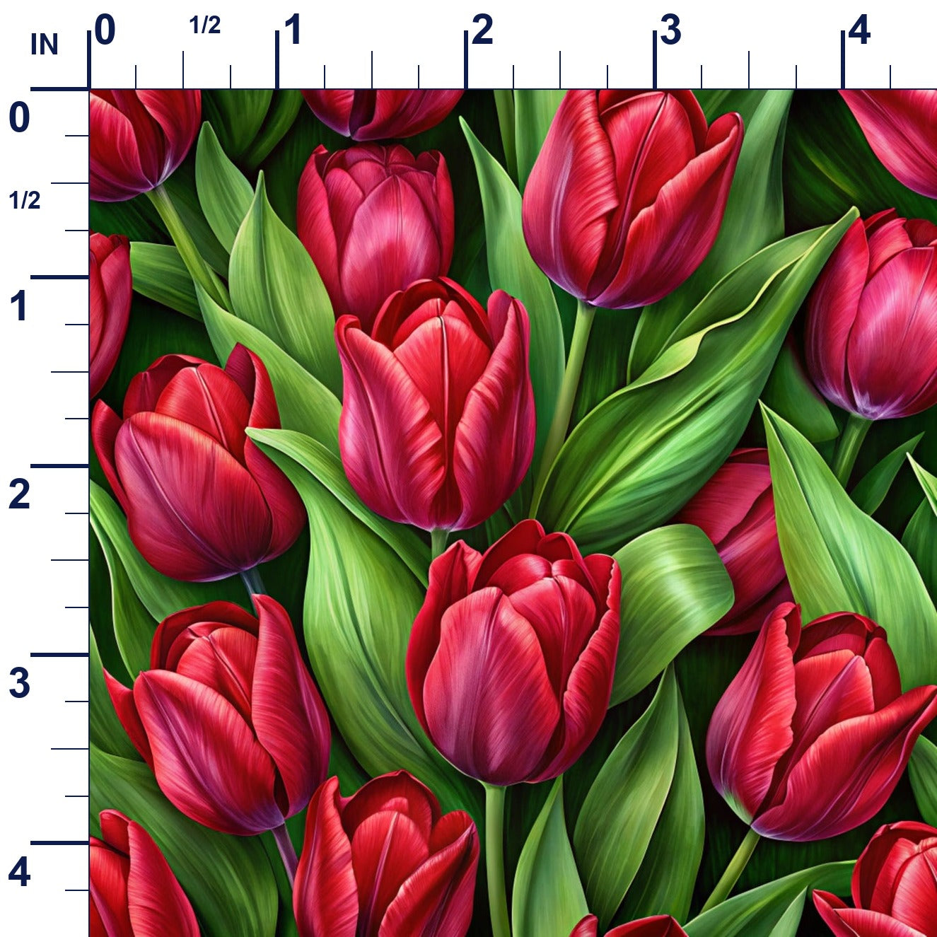 ruler-scale (auto)