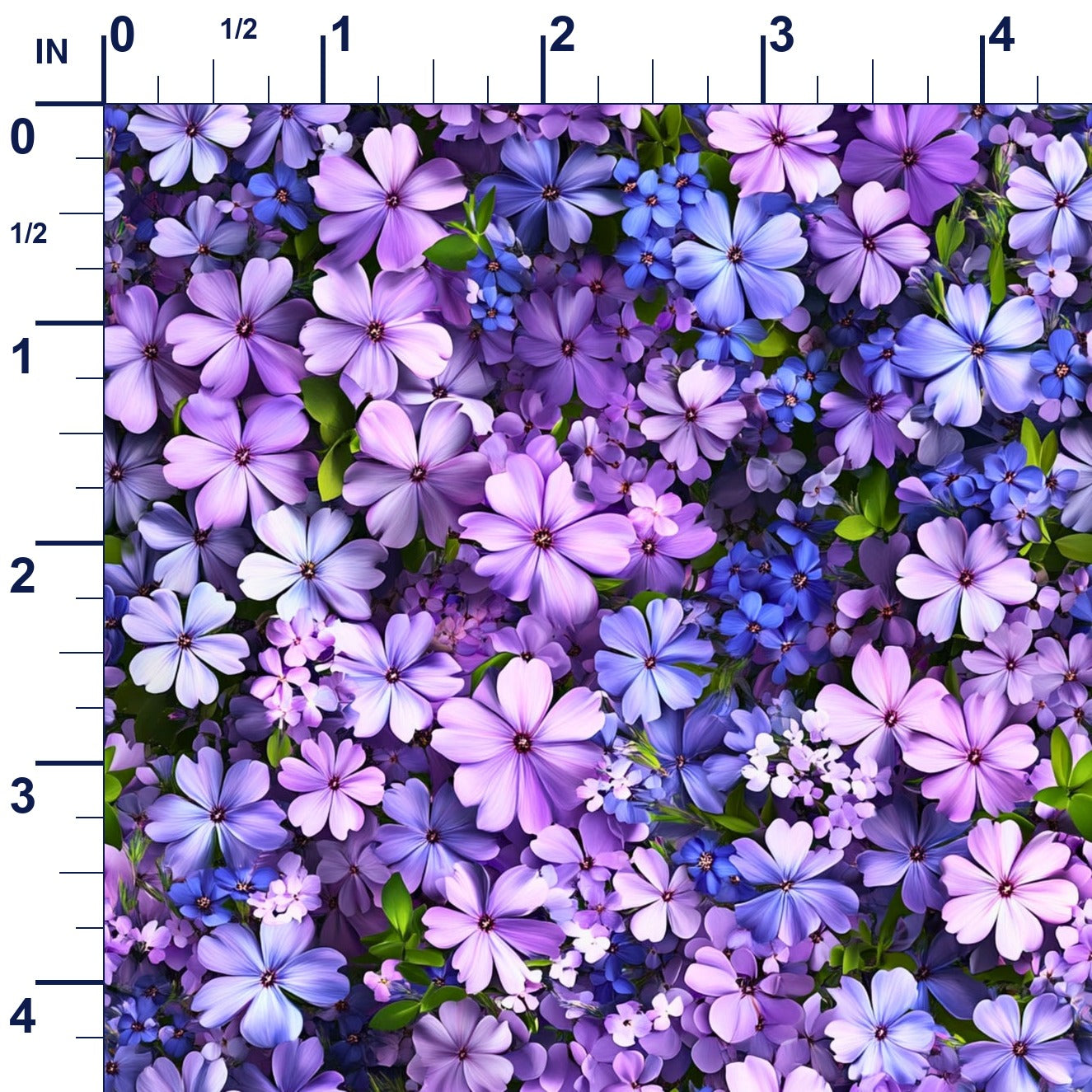 ruler-scale (auto)