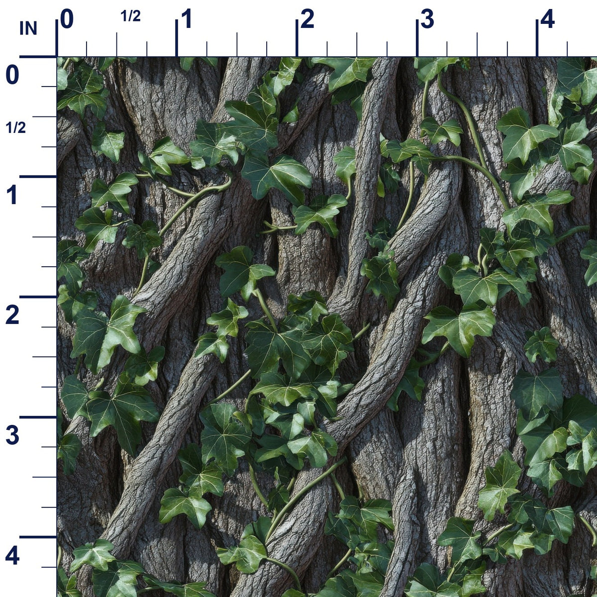 ruler-scale (auto)