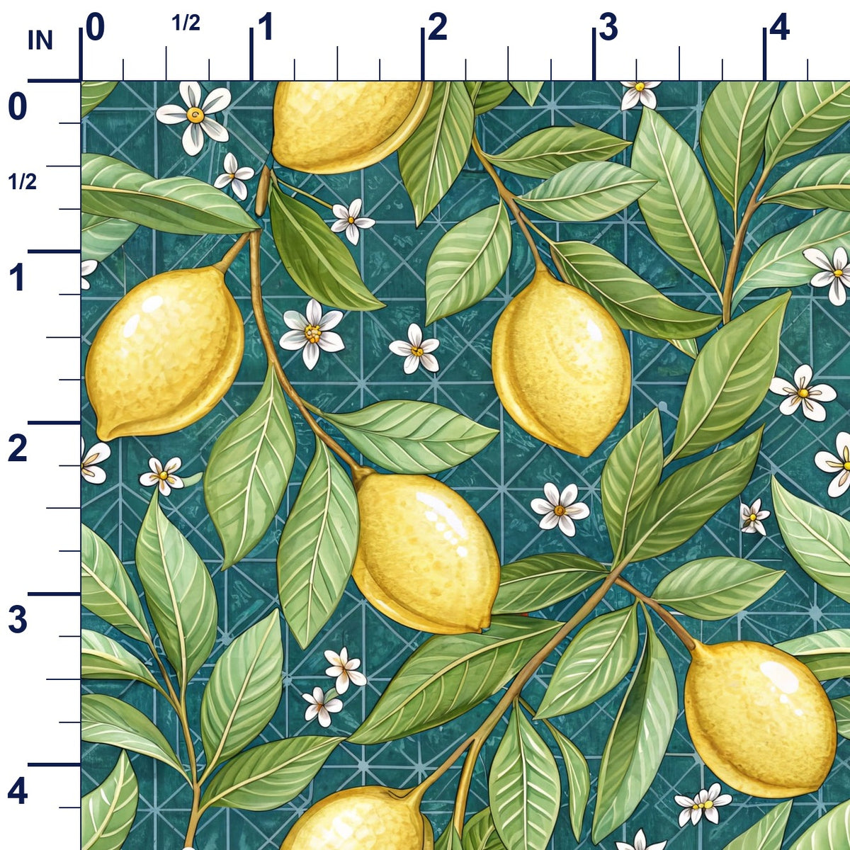 ruler-scale (auto)