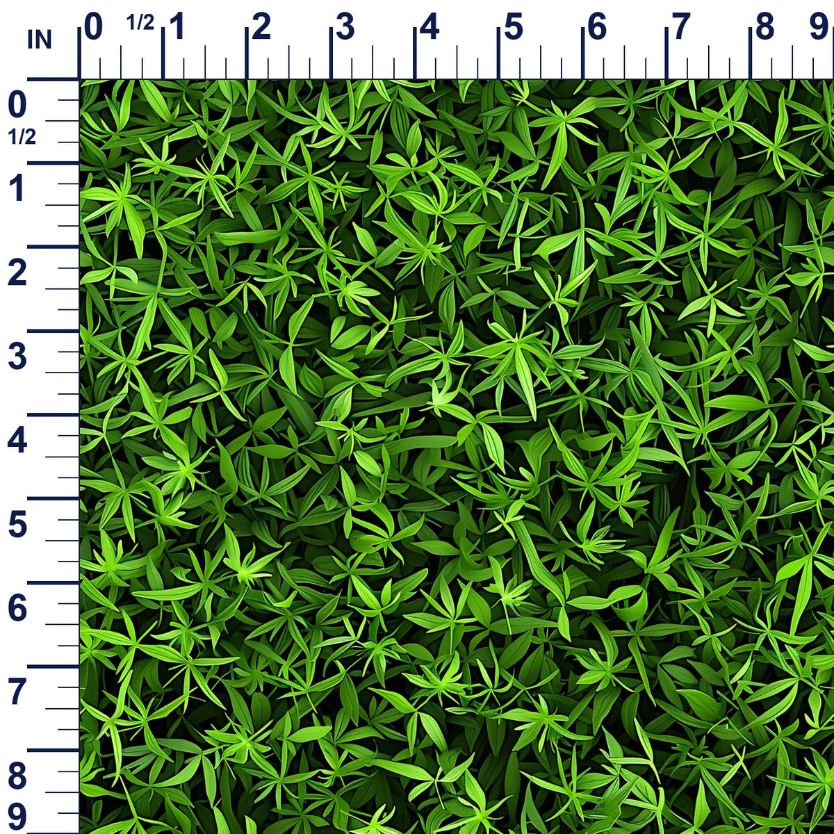 ruler-scale (auto)