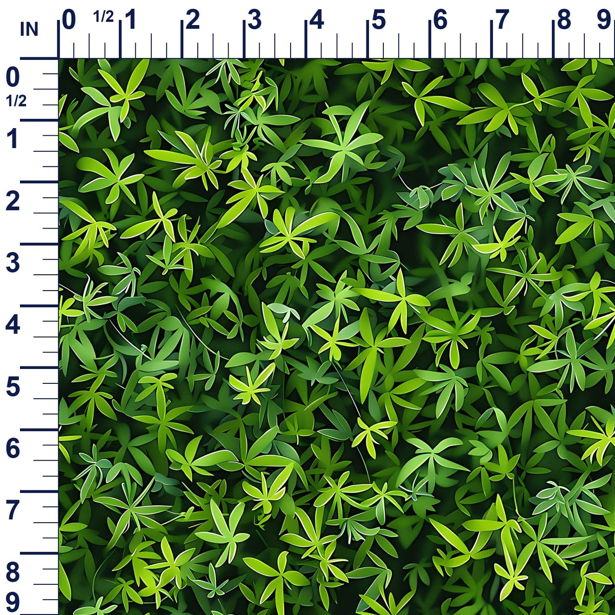 ruler-scale (auto)