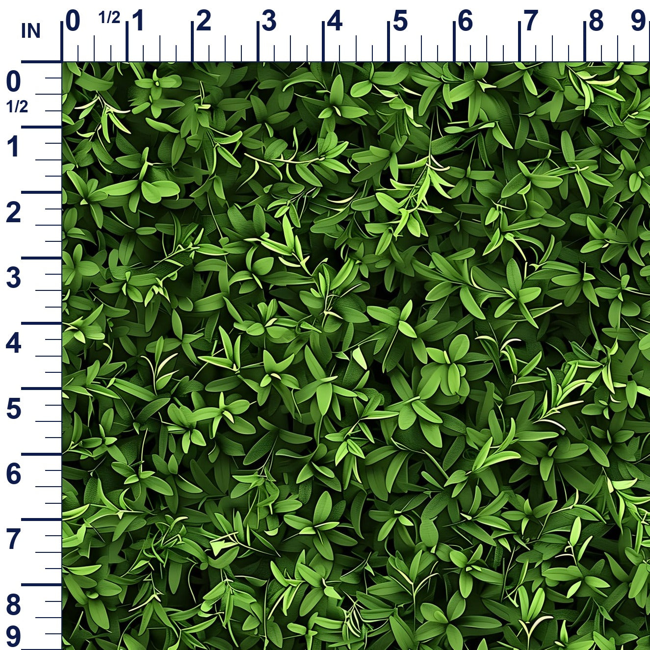 ruler-scale (auto)