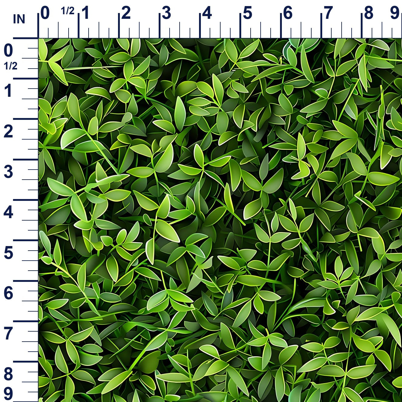 ruler-scale (auto)