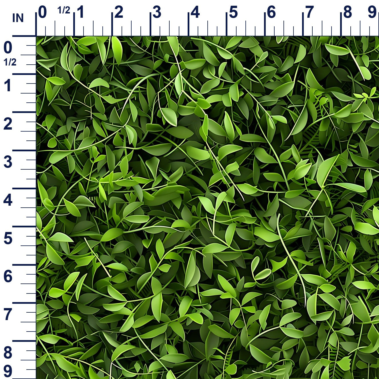 ruler-scale (auto)