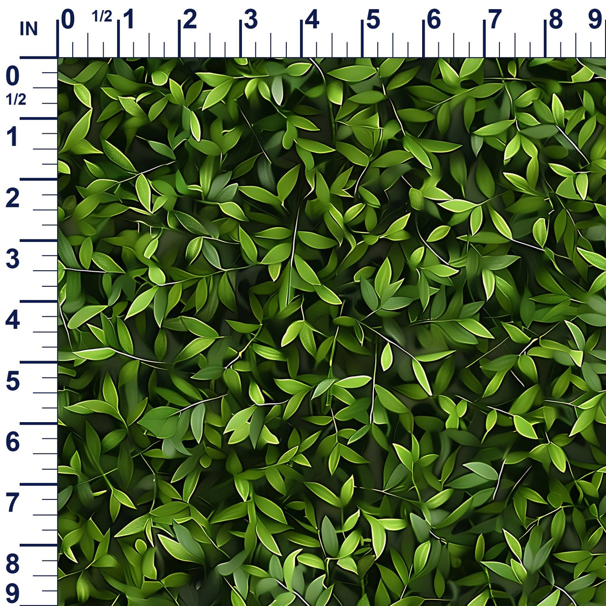 ruler-scale (auto)