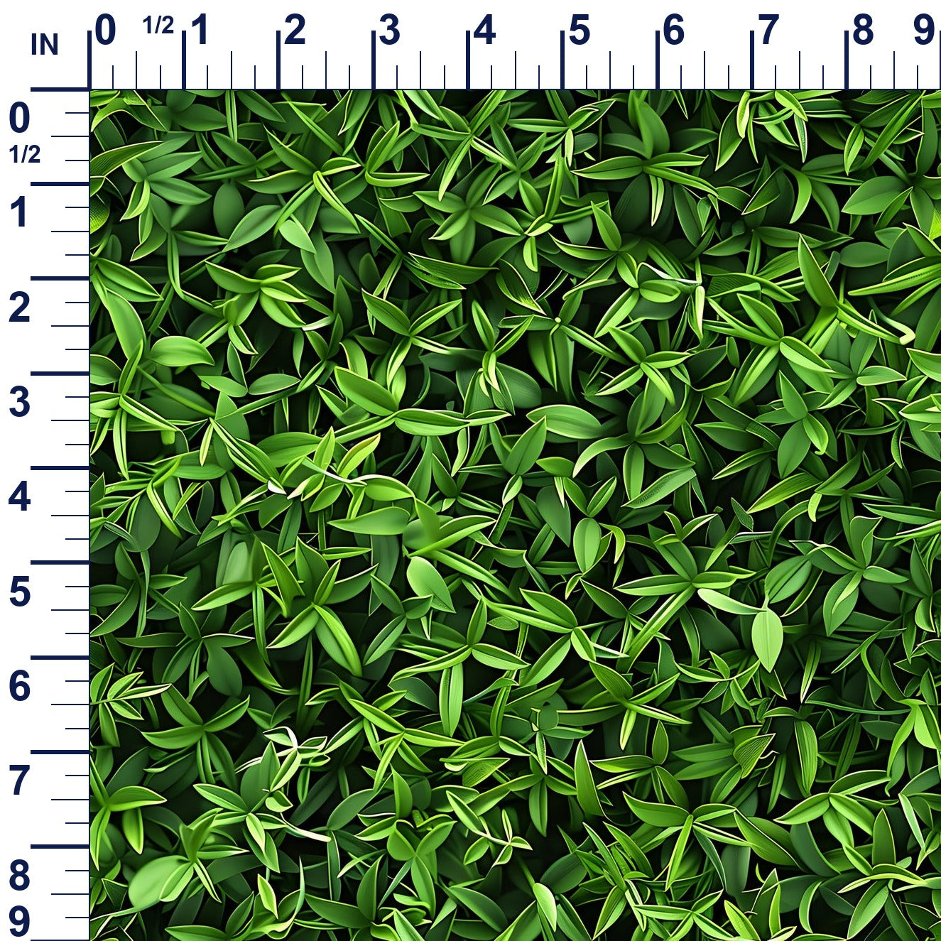 ruler-scale (auto)