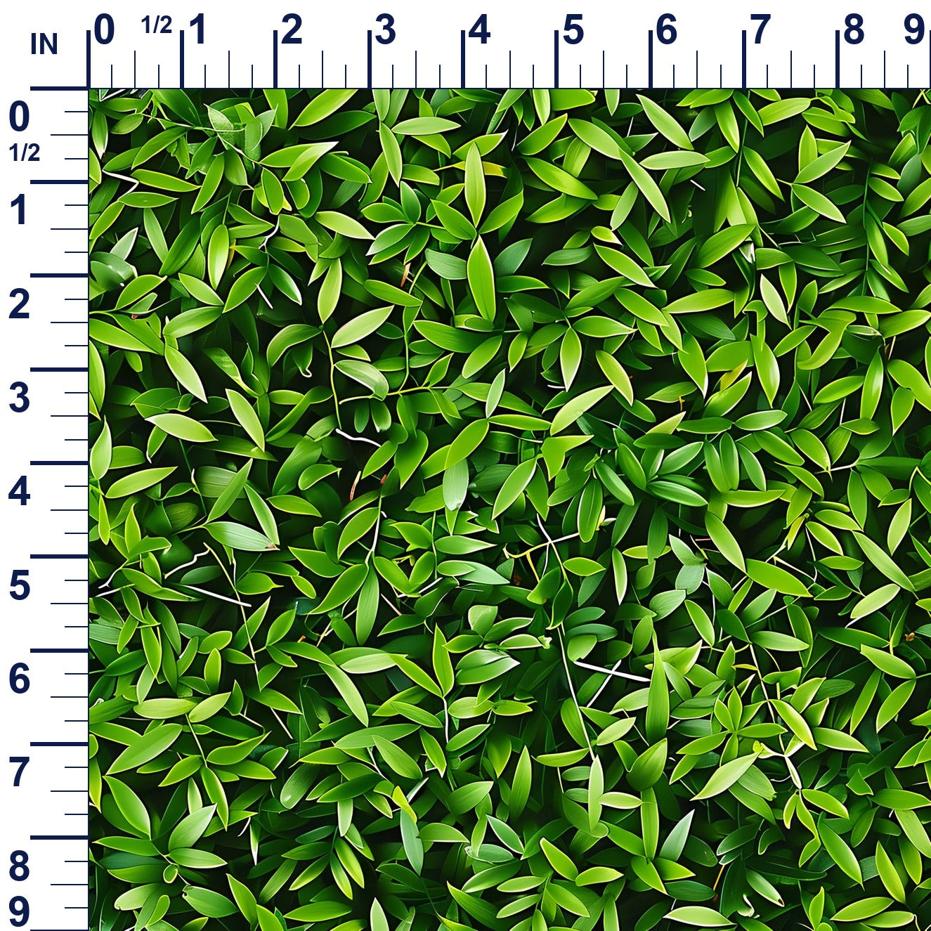 ruler-scale (auto)
