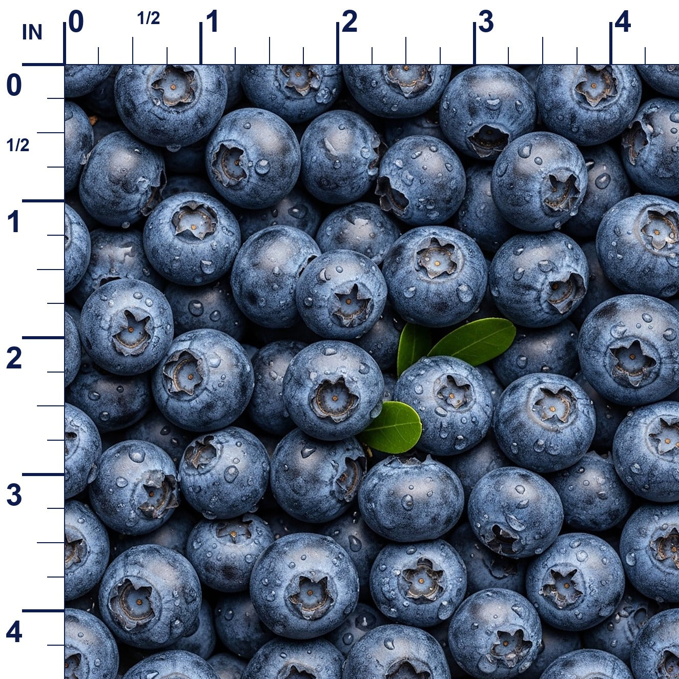 ruler-scale (auto)