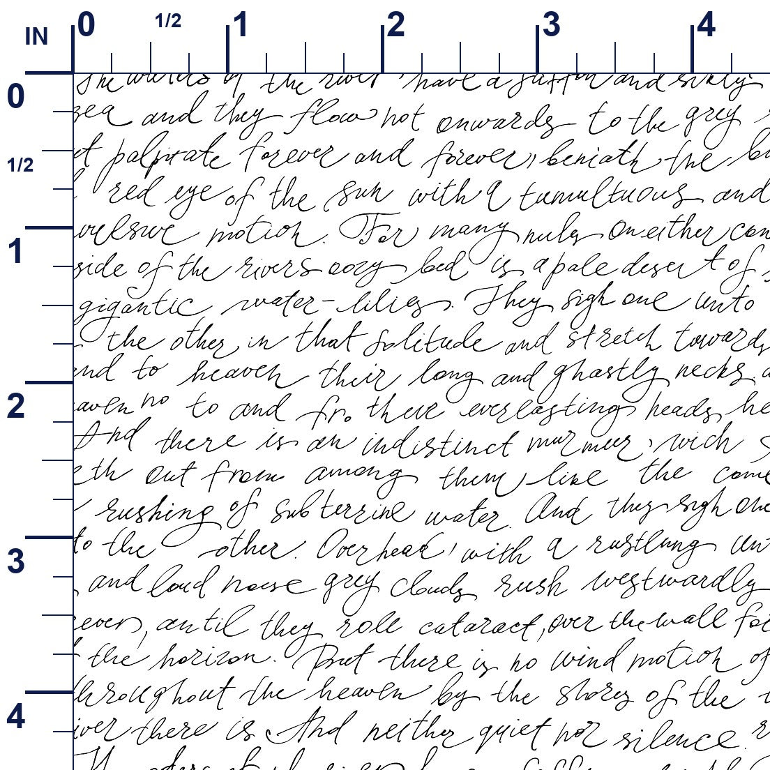 ruler-scale (auto)