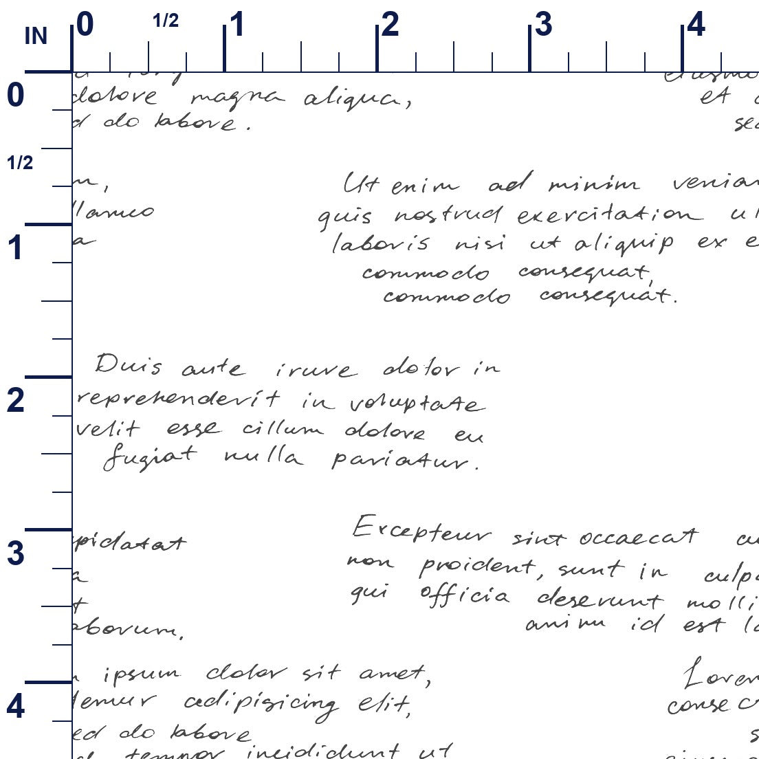 ruler-scale (auto)
