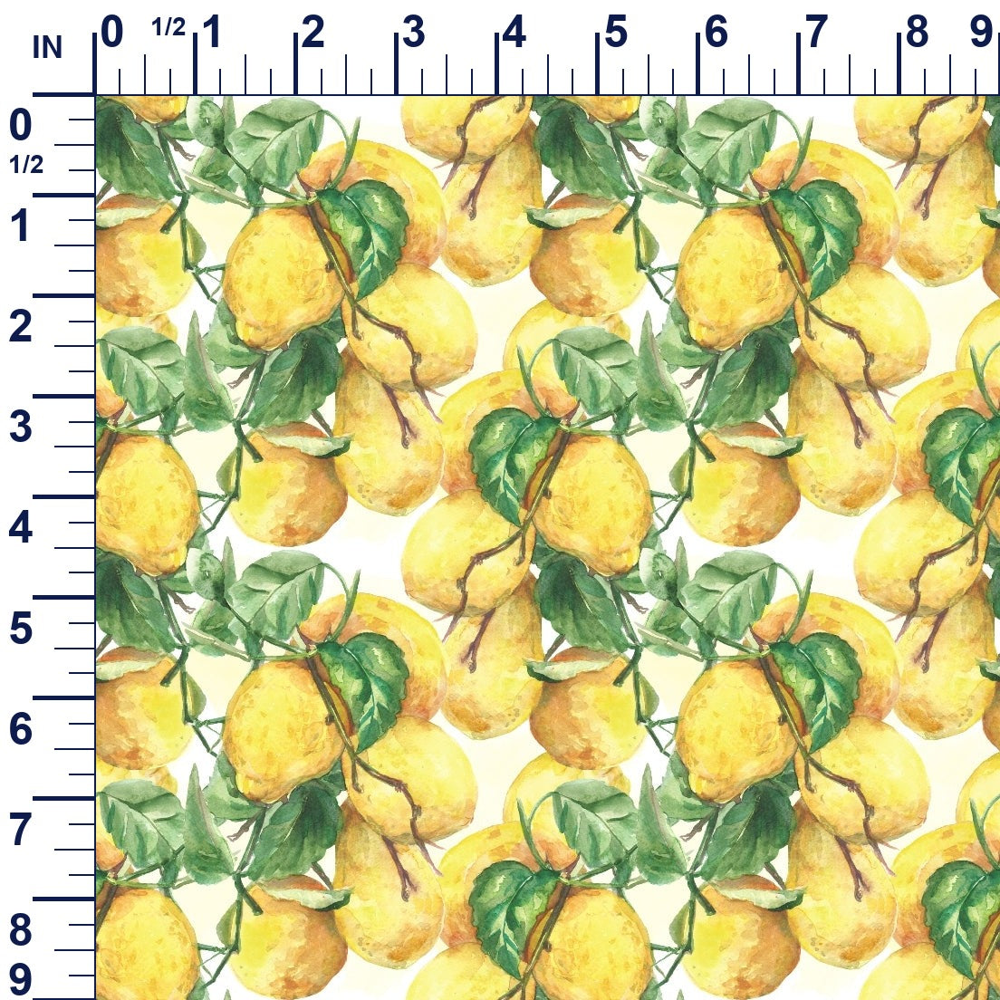 ruler-scale (auto)