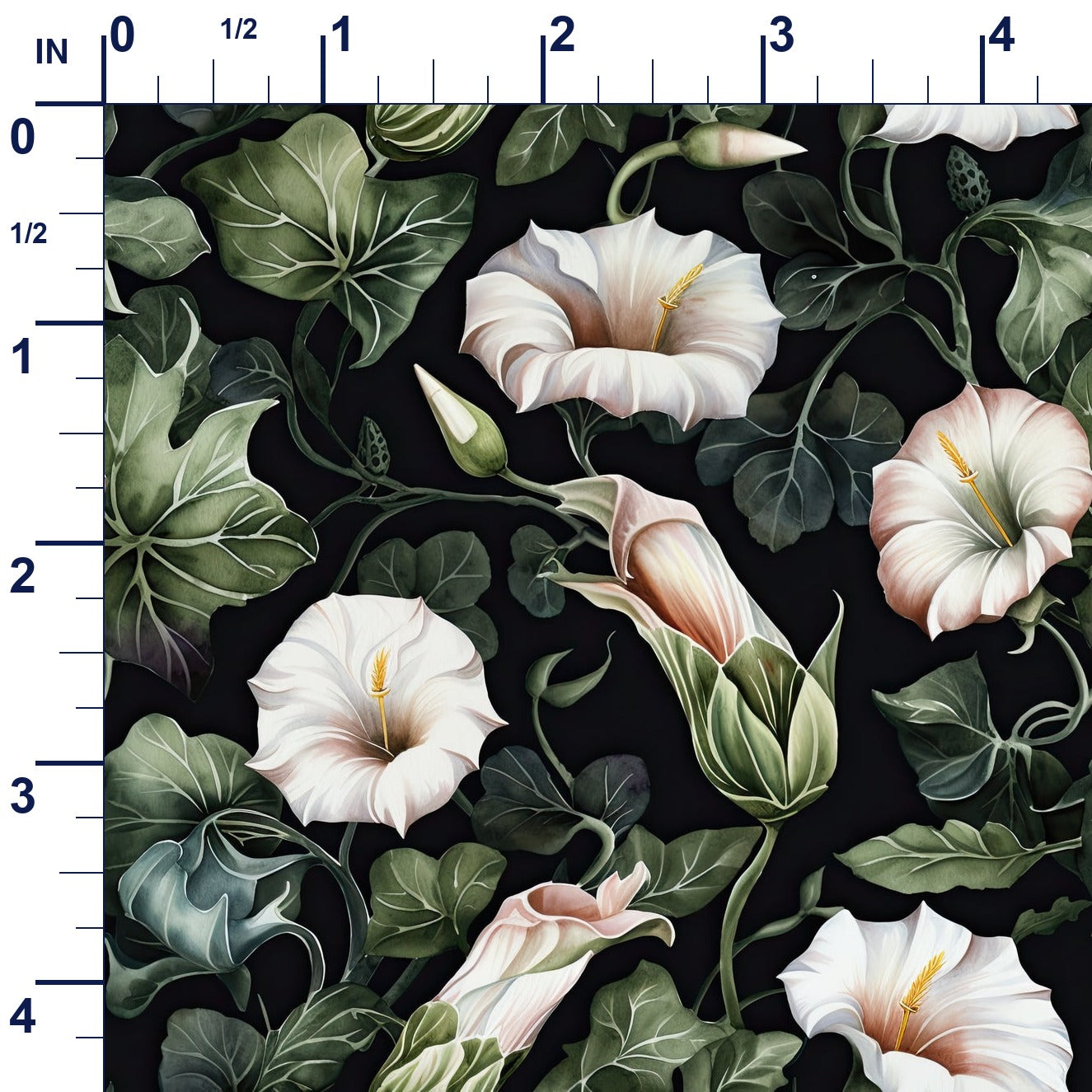 ruler-scale (auto)