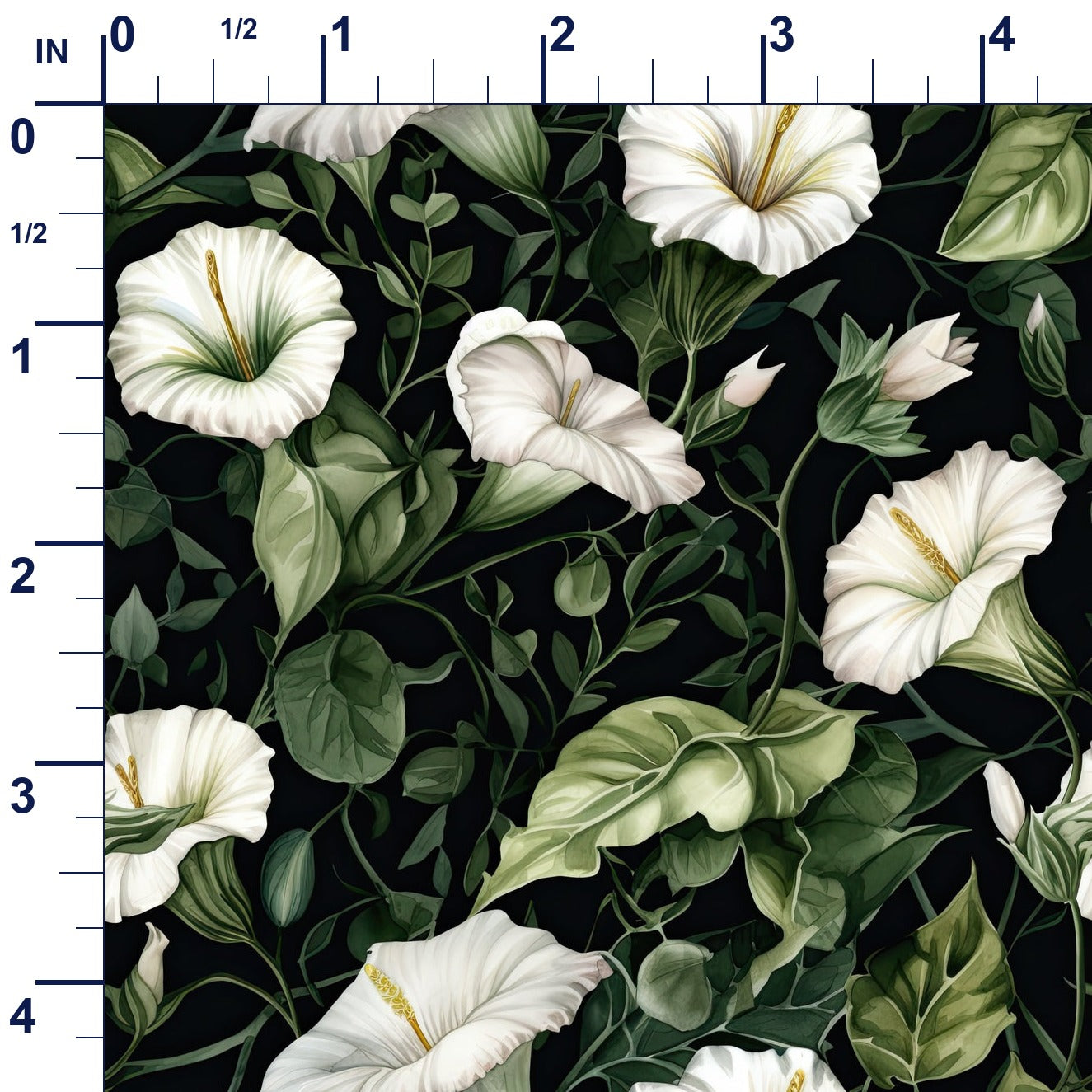ruler-scale (auto)