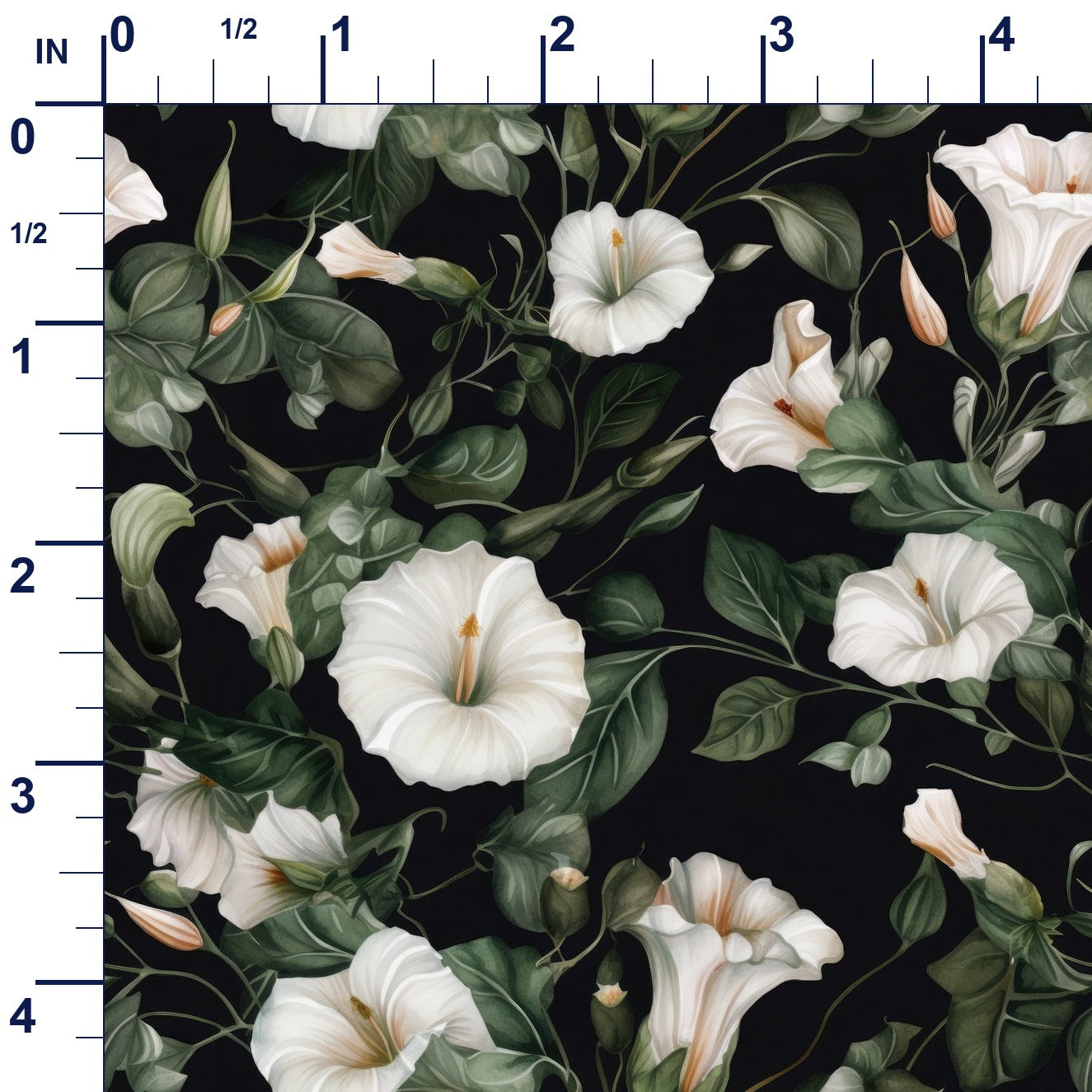 ruler-scale (auto)