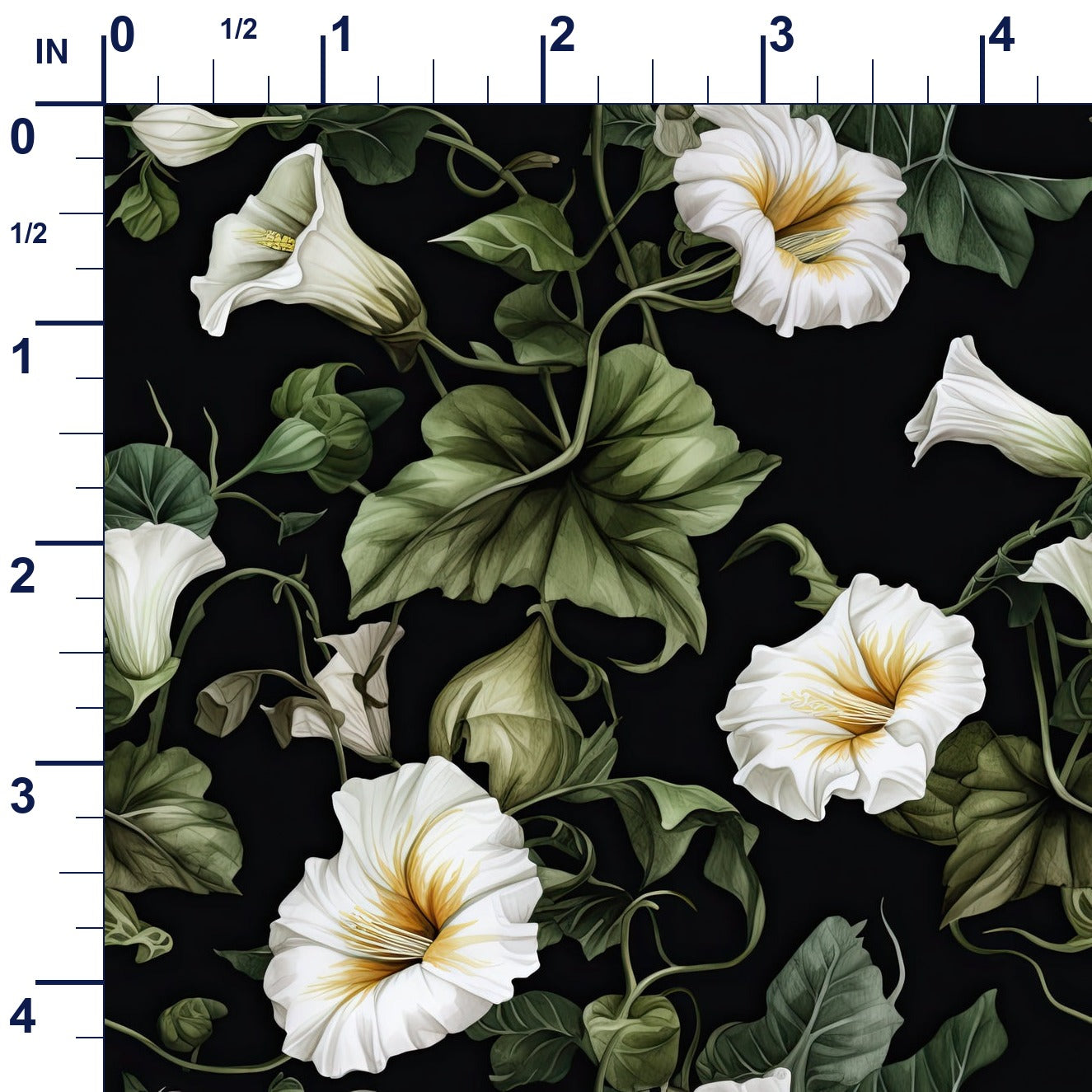 ruler-scale (auto)